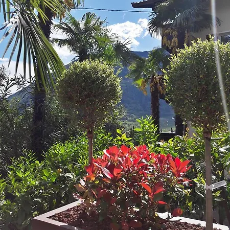 Hotel Gartenhotel Schonblick 3*
